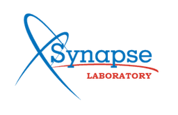 The Synapse Ideal The Synapse Ideal